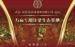 白酒品牌都在提“大发展”时，为什么这家宜宾酒企却“慢”下来